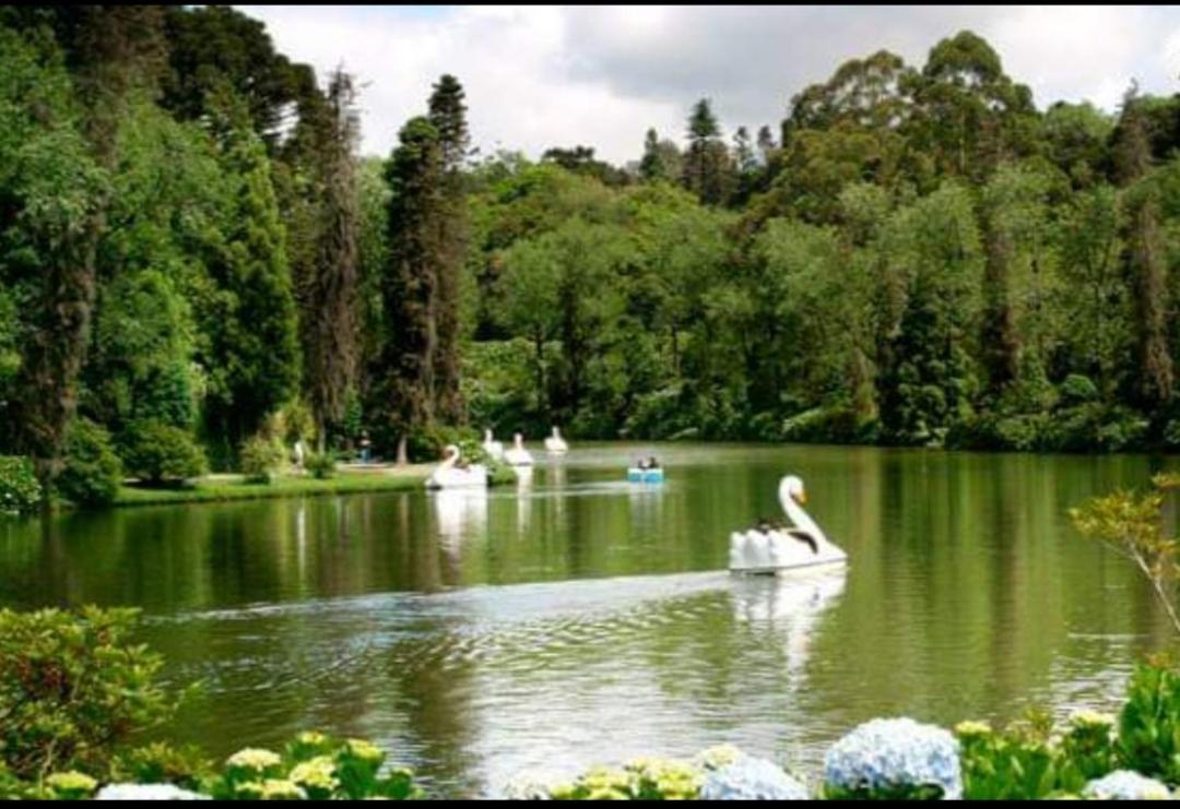 Casa Nobre Gramado Villa ภายนอก รูปภาพ